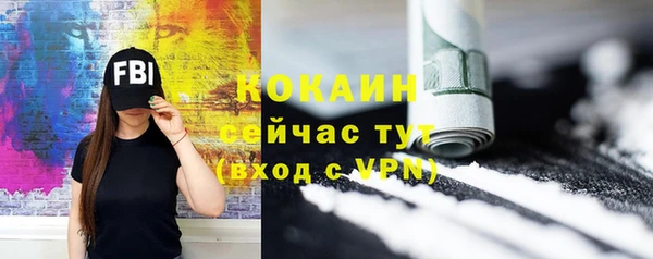 прущие грибы Армянск