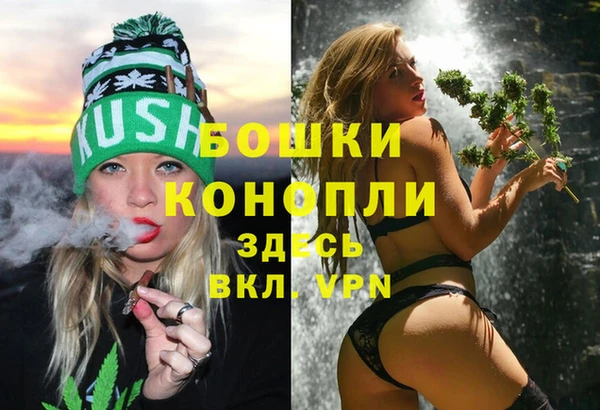 винт Арсеньев