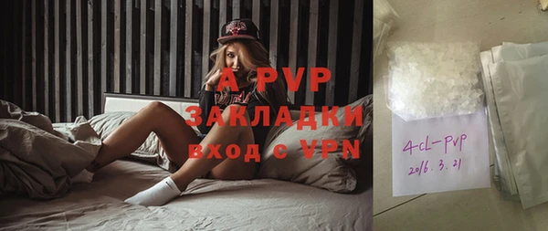 spice Аркадак