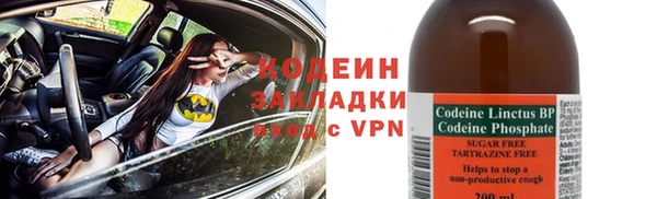 прущие грибы Армянск
