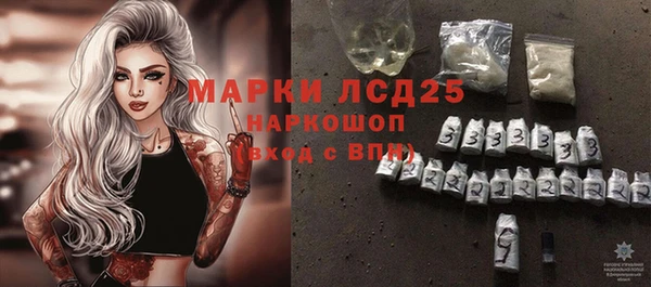 spice Аркадак