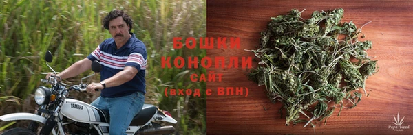 прущие грибы Армянск