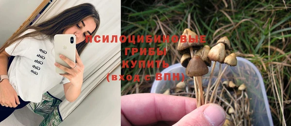 spice Аркадак
